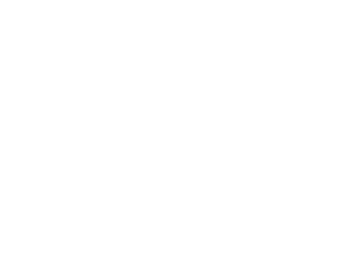 IIS_Tech_Logo_White.png