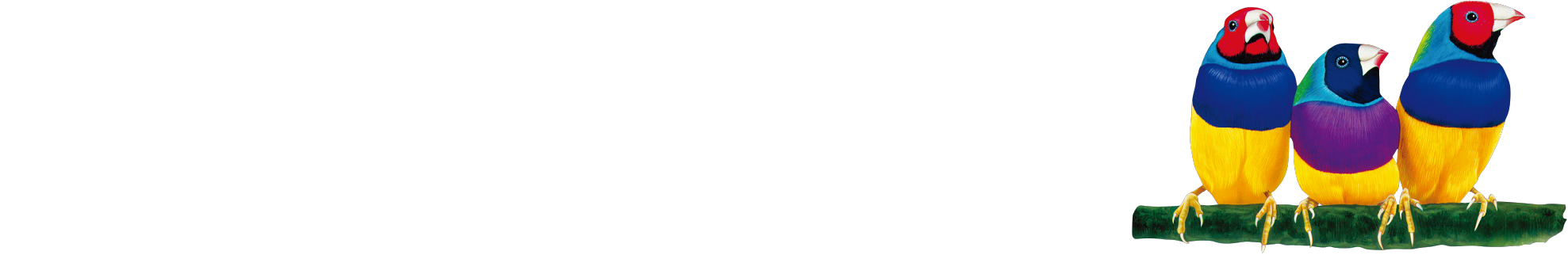 ViewSonic Logo